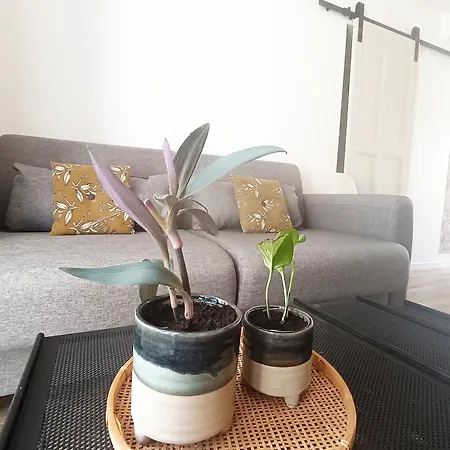 Charmant Studio Au Rez De Chaussee De Notre Maison De Village
